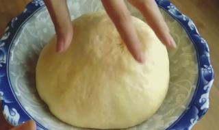 吐司面包的做法烤箱450克 面包的做法烤箱